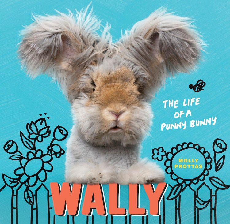 Produktbild: WALLY