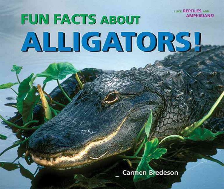 Produktbild: Fun Facts Abt Alligators