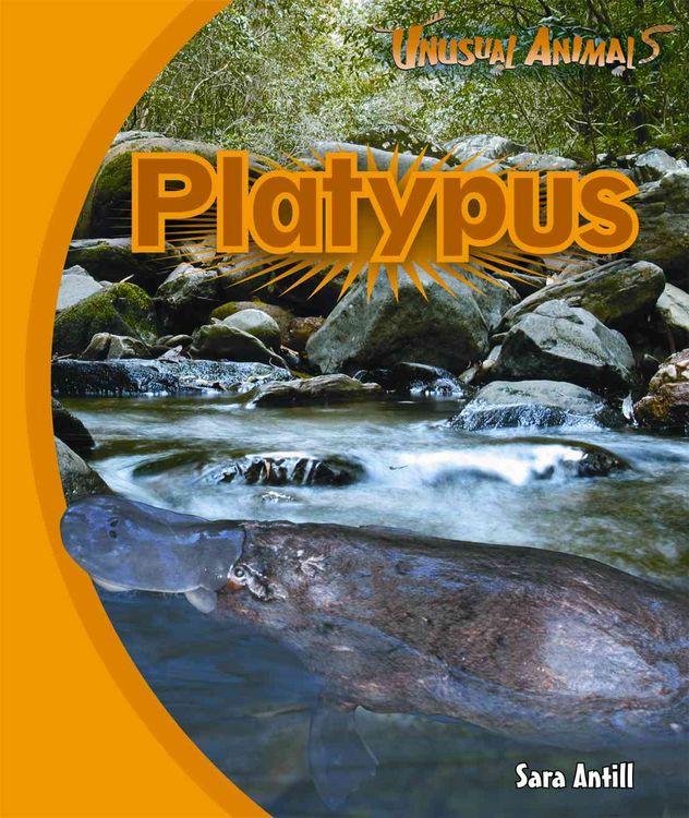 Produktbild: Platypus