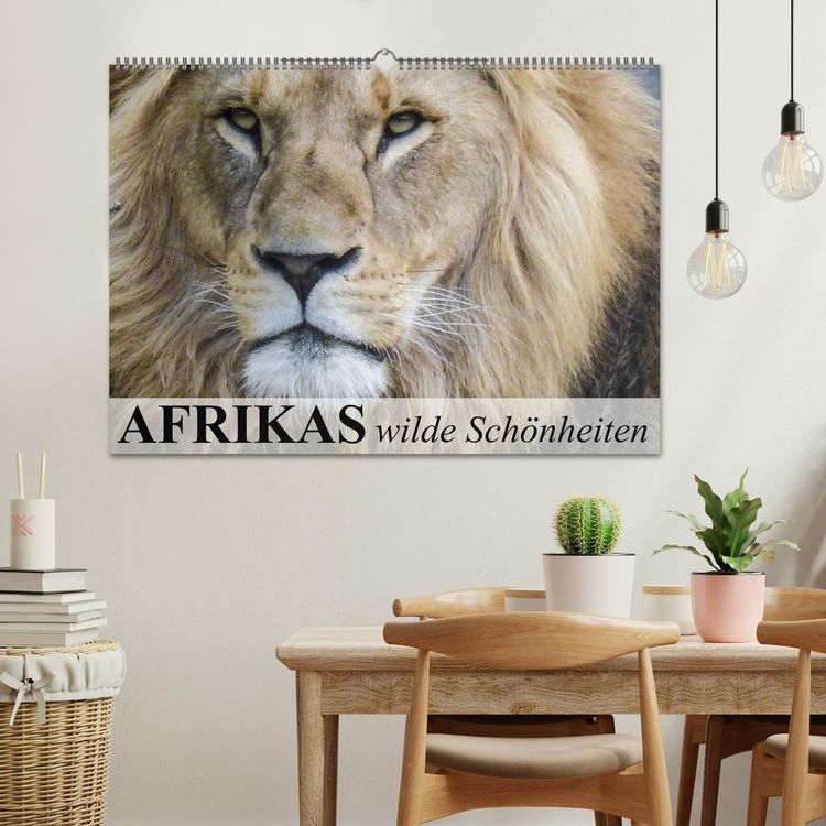Produktbild: Afrikas wilde Sch&ouml;nheiten (Wandkalender 2026 DIN A2 quer), CALVENDO Monatskalender