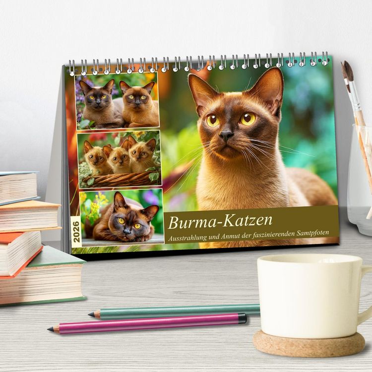 Produktbild: Burma-Katzen. Ausstrahlung und Anmut der faszinierenden Samtpfoten (Tischkalender 2026 DIN A5 quer), CALVENDO Monatskalender