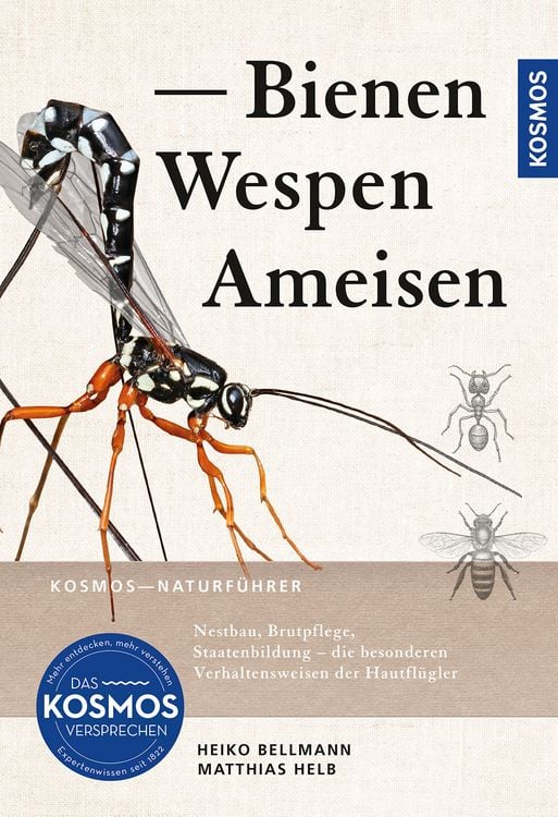 Produktbild: Bienen, Wespen, Ameisen