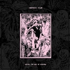 Produktbild: Before The Age Of Mirrors