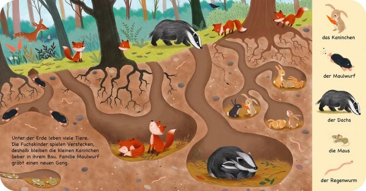 Produktbild: Mein erstes Natur-Wimmelbuch: Tiere im Wald &ndash; Mini-Ausgabe