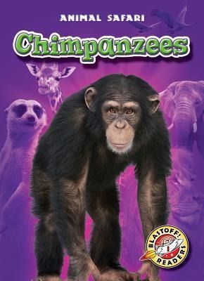 Produktbild: Chimpanzees