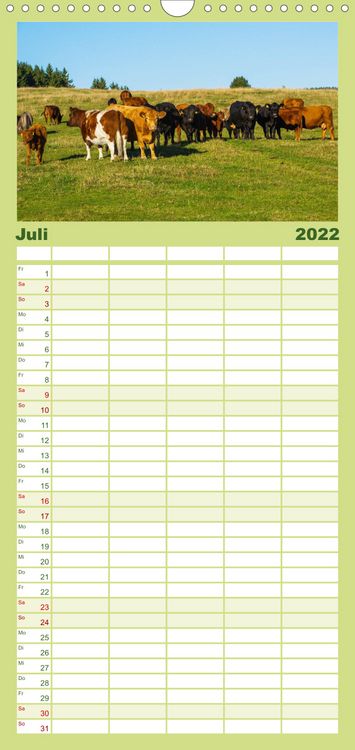 Produktbild: Ein Herz f&uuml;r Rinder - Familienplaner hoch (Wandkalender 2022 , 21 cm x 45 cm, hoch)