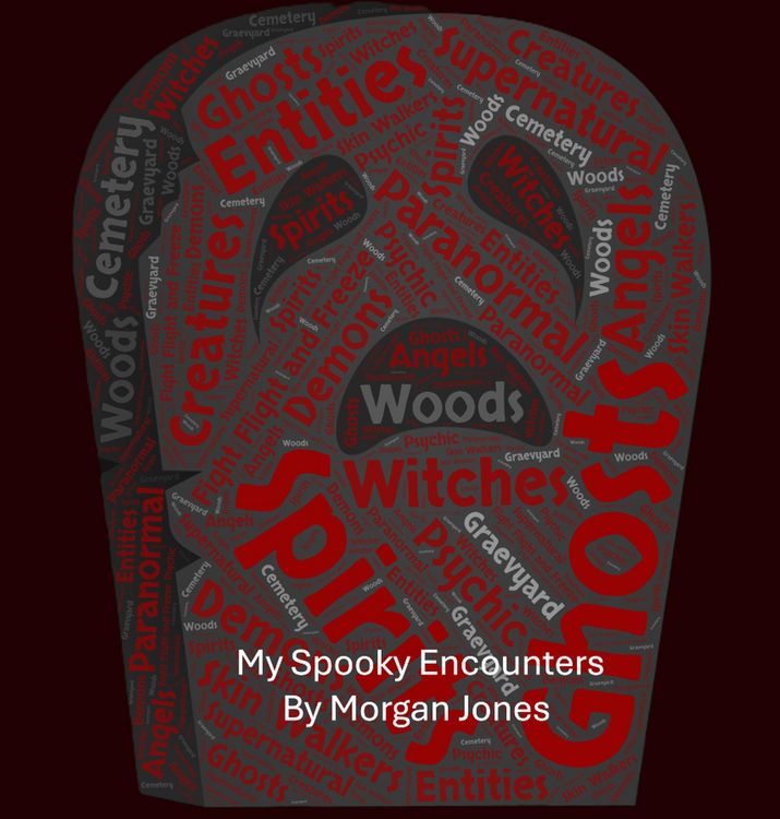 Produktbild: My Spooky Encounters
