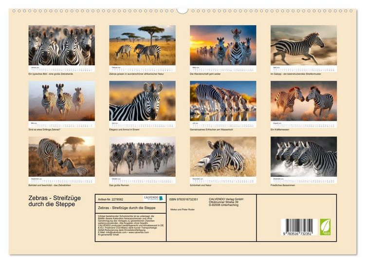 Produktbild: Zebras - Streifz&uuml;ge durch die Steppe (hochwertiger Premium Wandkalender 2026 DIN A2 quer), Kunstdruck in Hochglanz