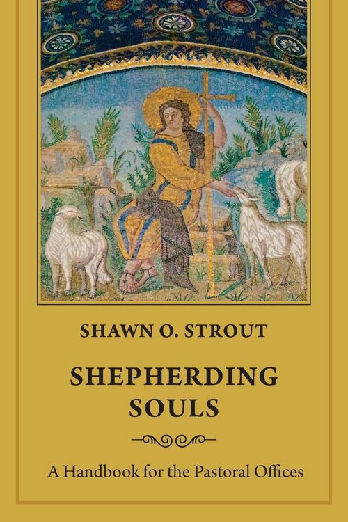 Produktbild: Shepherding Souls