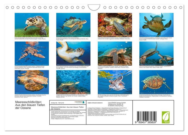 Produktbild: Meeresschildkr&ouml;ten: Aus den blauen Tiefen der Ozeane (Wandkalender 2026 DIN A4 quer), CALVENDO Monatskalender