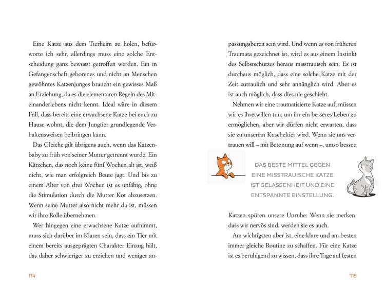 Wie Katzen ihr perfektes Personal finden