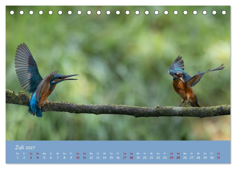 Produktbild: Alcedo atthis. Der Eisvogel (Tischkalender 2027 DIN A5 quer), CALVENDO Monatskalender