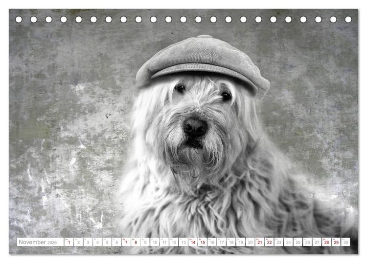 Produktbild: Hund tr&auml;gt Hut (Tischkalender 2026 DIN A5 quer), CALVENDO Monatskalender