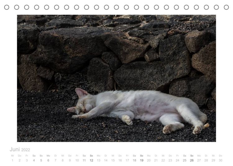 Produktbild: Asche unter den F&uuml;&szlig;en - Lanzarote (Tischkalender 2022 DIN A5 quer)