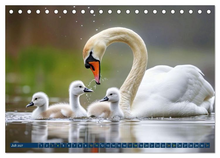 Produktbild: Tierkinder der L&uuml;fte - Vogelwelt (Tischkalender 2027 DIN A5 quer), CALVENDO Monatskalender
