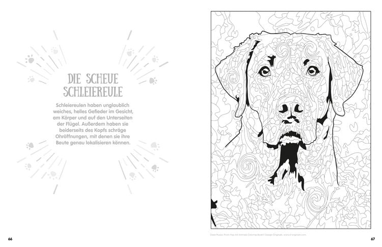 Produktbild: Pop Art Animals - Ausmalbuch