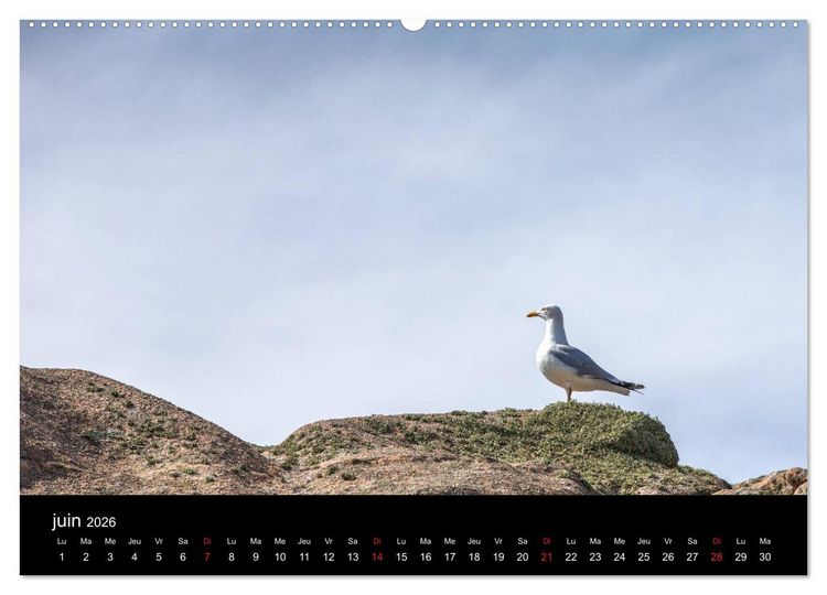 Produktbild: Normandie et Bretagne (Calendrier mural 2026 DIN A2 vertical) calendrier de bureau