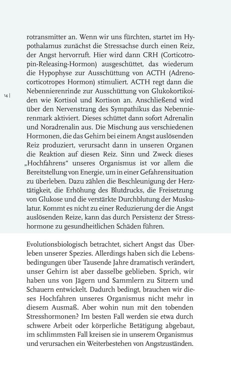 Produktbild: Willkommen Angst