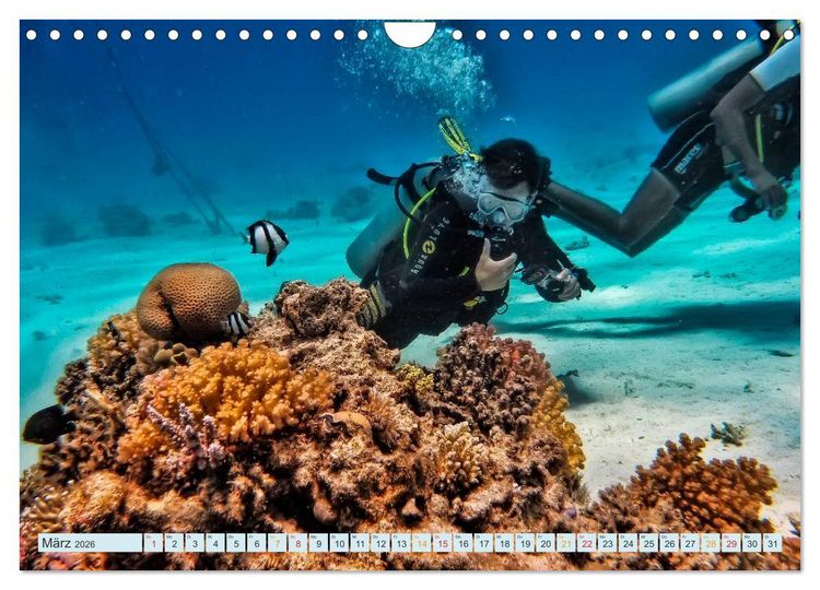 Produktbild: Tauchen - Abenteuer unter Wasser (Wandkalender 2026 DIN A4 quer), CALVENDO Monatskalender