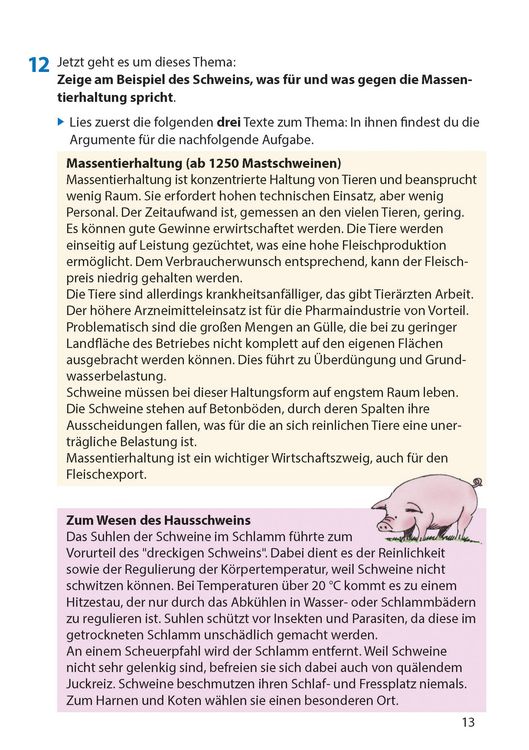 Produktbild: Er&ouml;rterung. Aufsatz 8.-11. Klasse, A5-Heft