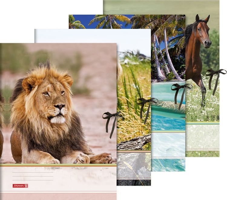 Produktbild: Brunnen Sammelmappe A3 Tiere Band