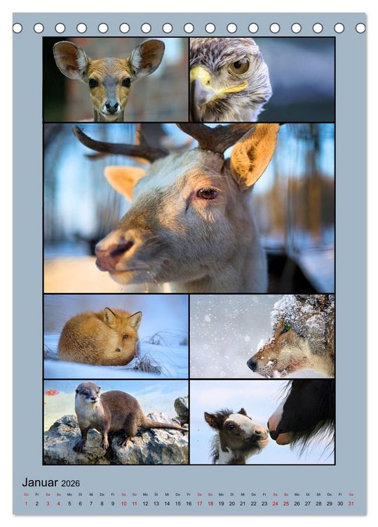 Produktbild: Farbsymphonien der Natur (Tischkalender 2026 DIN A5 hoch), CALVENDO Monatskalender