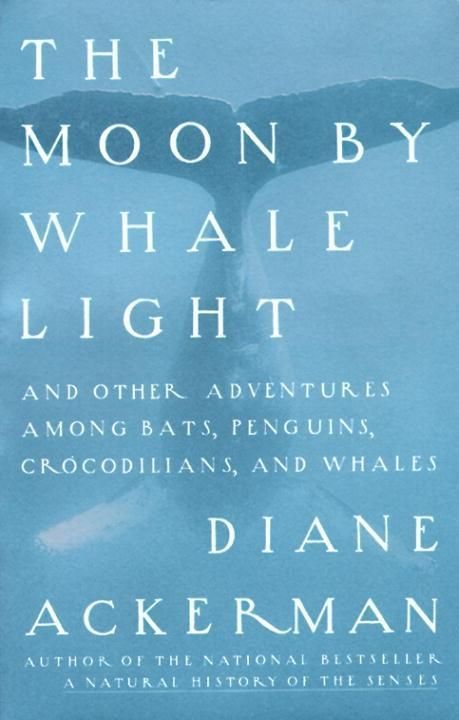 Produktbild: Moon By Whale Light