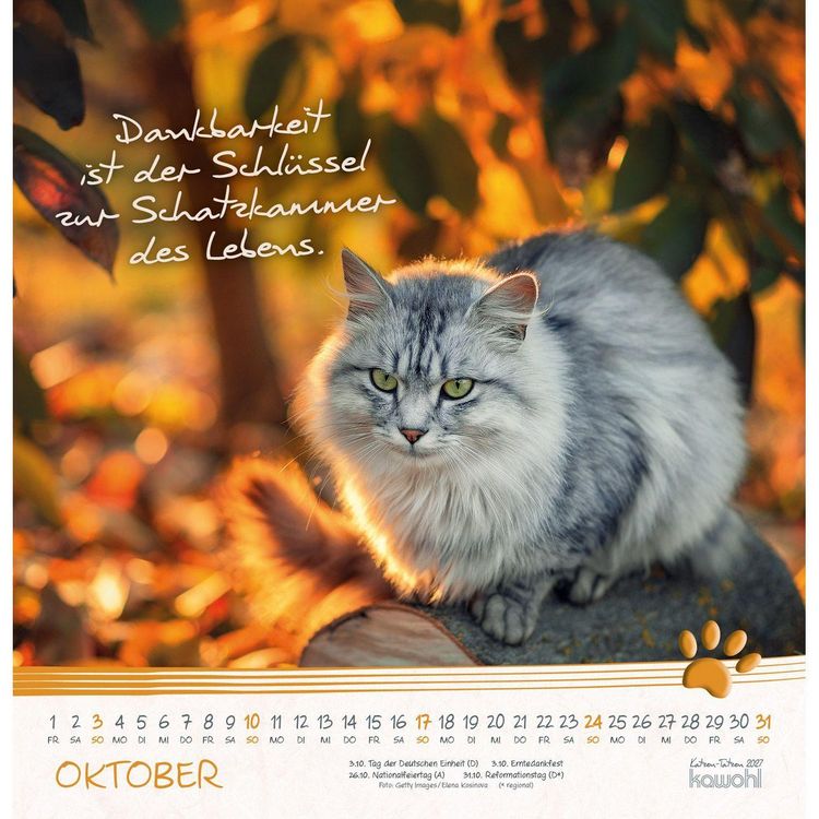 Produktbild: Katzen-Tatzen 2027