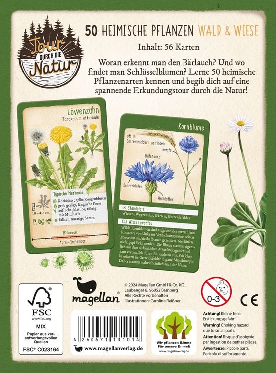 Produktbild: Tour durch die Natur - 50 heimische Pflanzen - Wald & Wiese