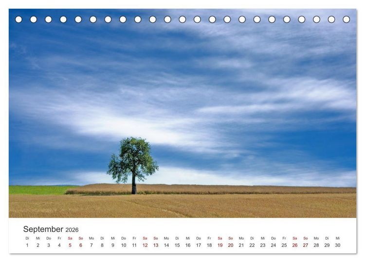 Produktbild: B&auml;ume - Gelebtes Leben (Tischkalender 2026 DIN A5 quer), CALVENDO Monatskalender