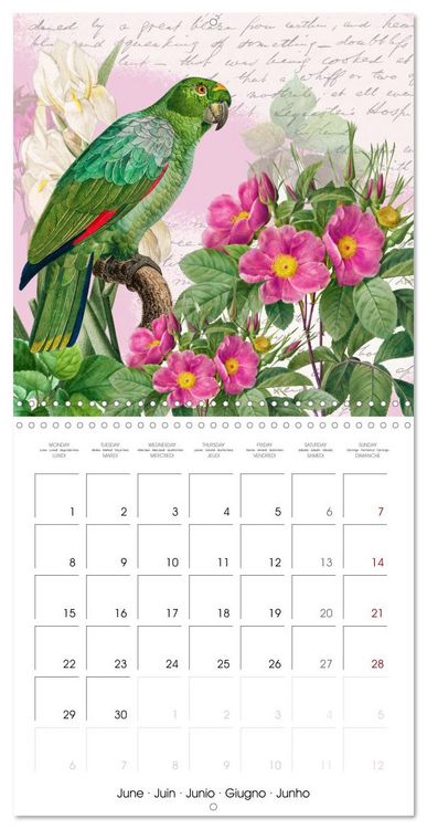 Produktbild: The Magical Roses Collages with roses from Pierre Joseph Redout&eacute; (Wall Calendar 2026 12 &times; 12 Inch) CALVENDO 12 Month Wall Calendar