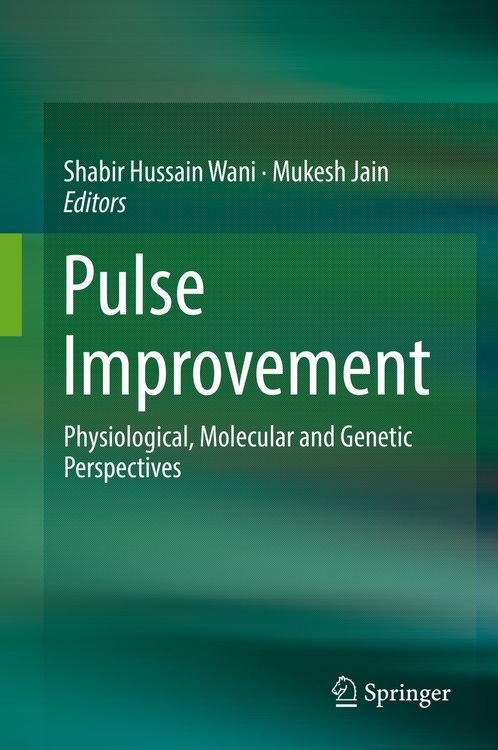 Produktbild: Pulse Improvement