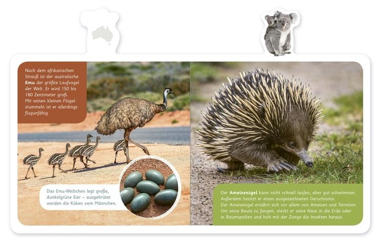 Produktbild: Tiere in Australien