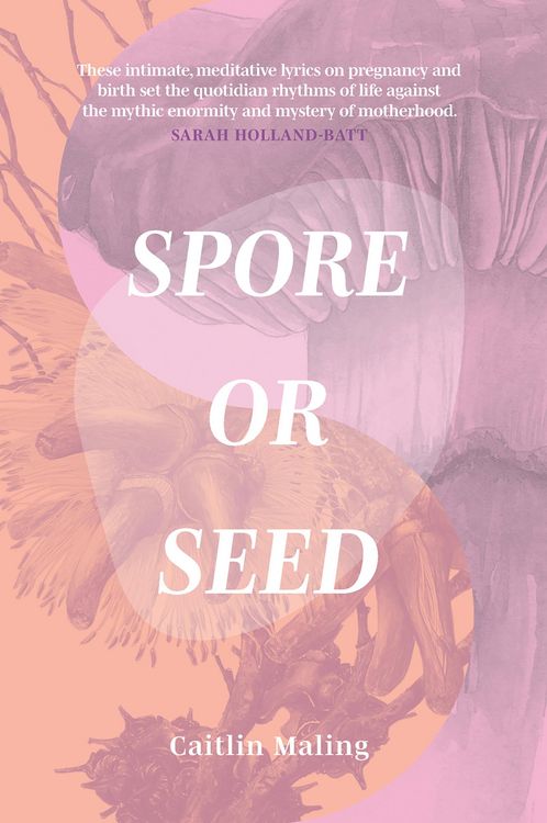 Produktbild: Spore or Seed