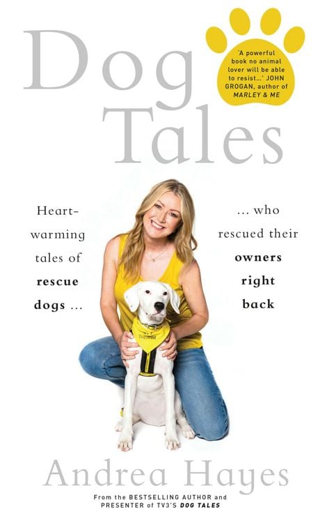 Produktbild: Dog Tales