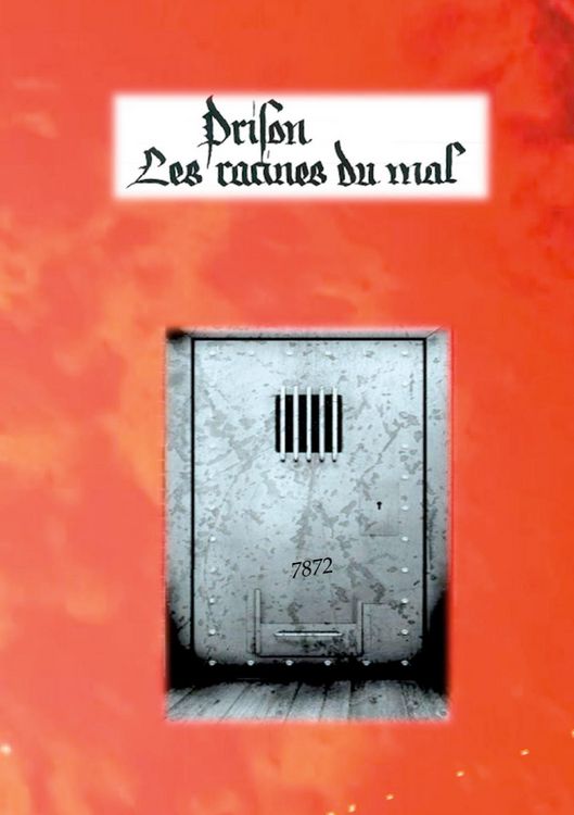Produktbild: Prison : les racines du mal