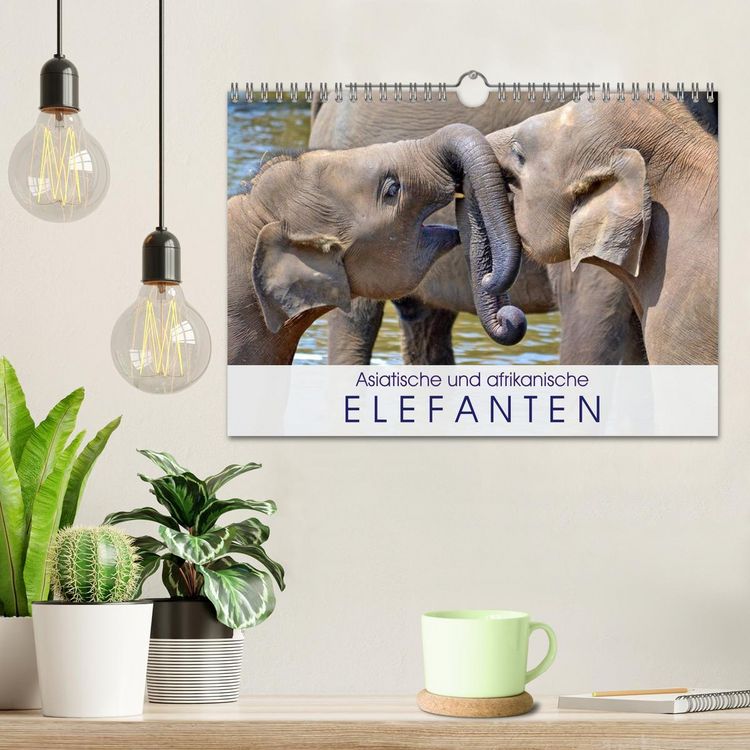 Produktbild: Asiatische und afrikanische Elefanten (Wandkalender 2026 DIN A4 quer), CALVENDO Monatskalender
