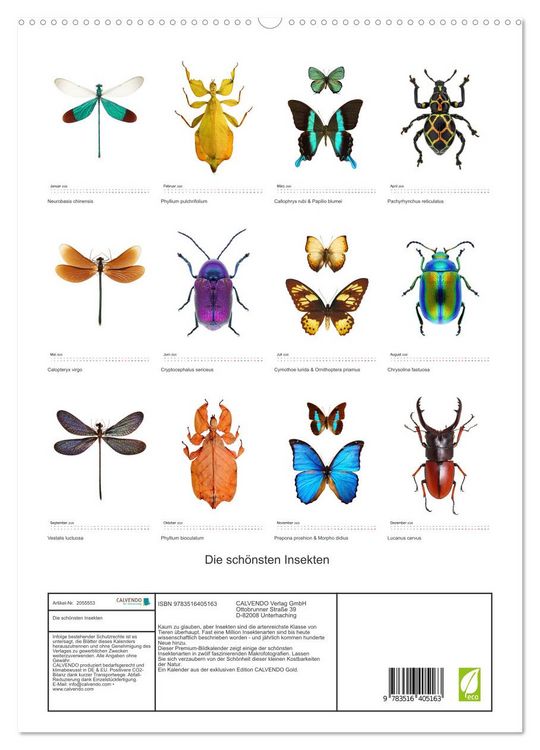 Produktbild: Die sch&ouml;nsten Insekten (hochwertiger Premium Wandkalender 2026 DIN A2 hoch), Kunstdruck in Hochglanz