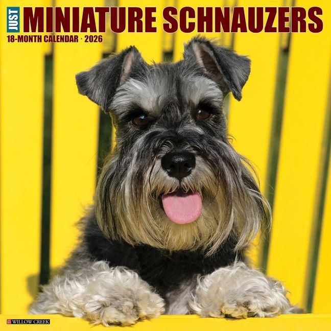 Produktbild: Miniature Schnauzers 2026 Wall Calendar