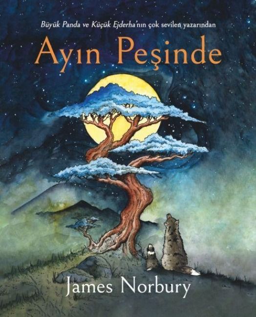 Produktbild: Ayin Pesinde Ciltli