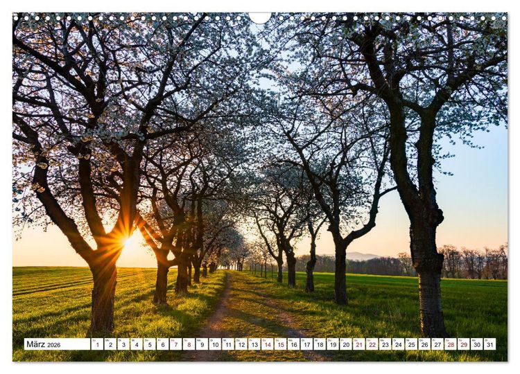 Produktbild: Sonnige Augenblicke (Wandkalender 2026 DIN A3 quer), CALVENDO Monatskalender