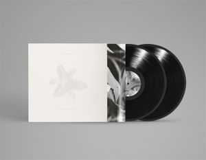 Produktbild: Body of Light/I am a Cloud