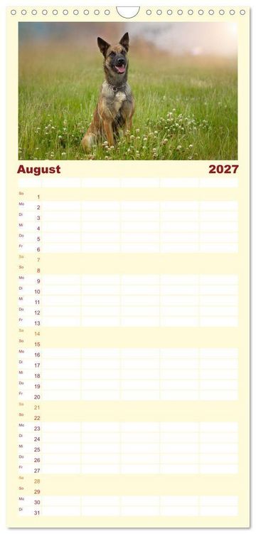 Produktbild: Familienplaner 2027 - Traumhund Malinois mit 5 Spalten (Wandkalender, 21 x 45 cm) CALVENDO