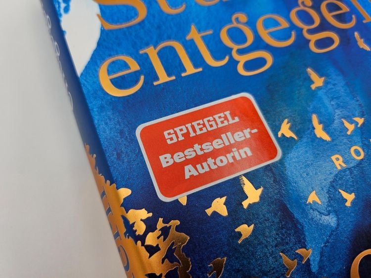 Produktbild: Dem Sturm entgegen