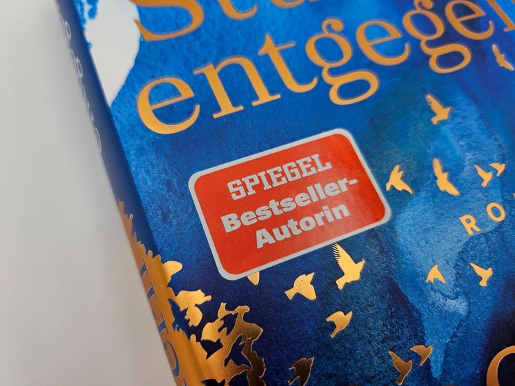 Produktbild: Dem Sturm entgegen