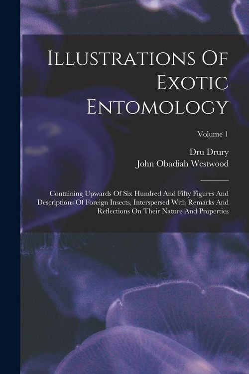 Produktbild: Illustrations Of Exotic Entomology