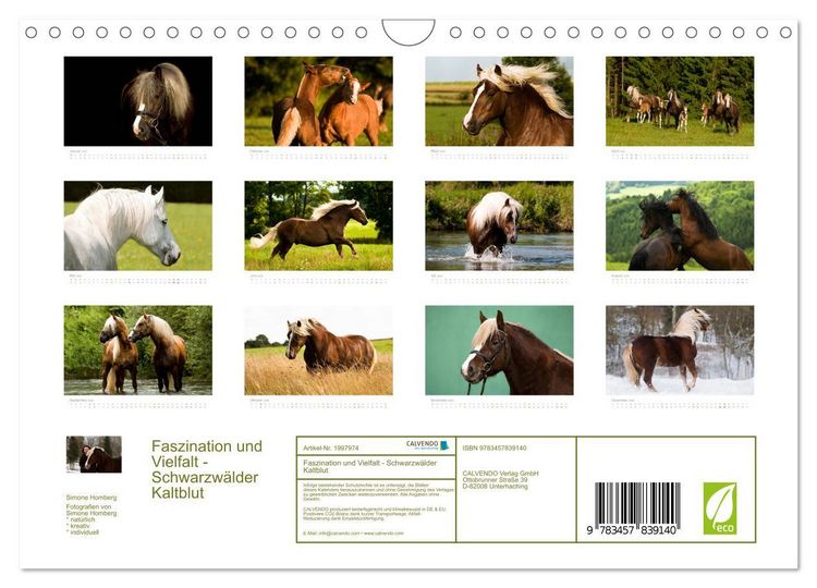 Produktbild: Faszination und Vielfalt - Schwarzw&auml;lder Kaltblut (Wandkalender 2026 DIN A4 quer), CALVENDO Monatskalender
