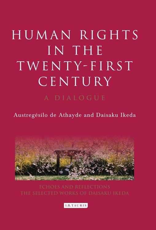 Produktbild: Human Rights in the Twenty-first Century