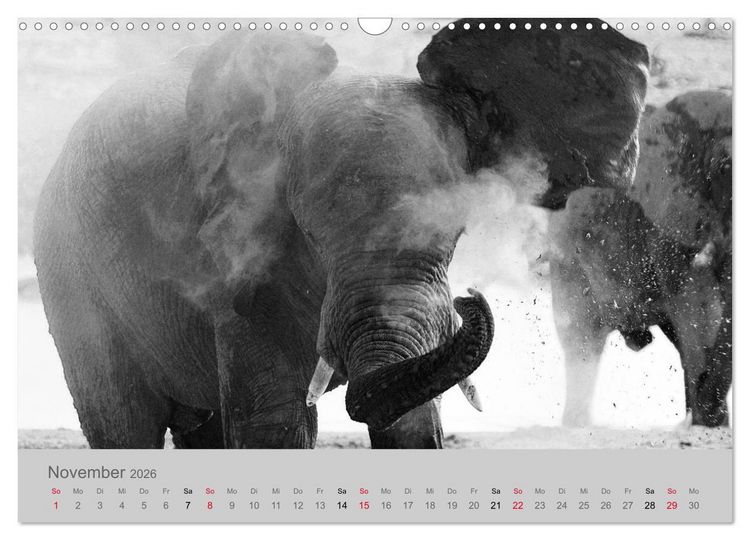 Produktbild: Die Seelen der wilden Tiere (Wandkalender 2026 DIN A3 quer), CALVENDO Monatskalender