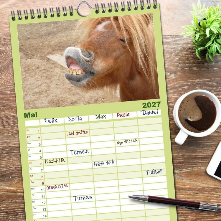 Produktbild: Familienplaner 2027 - Ponys. Herzensbrecher mit Grips mit 5 Spalten (Wandkalender, 21 x 45 cm) CALVENDO